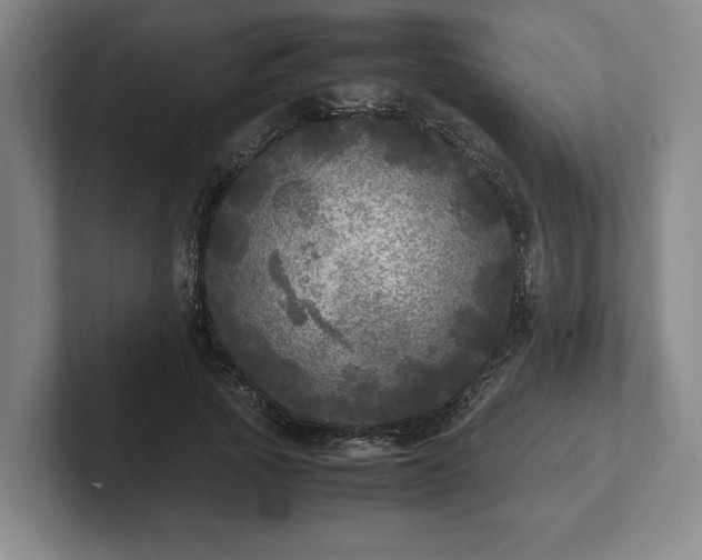 X0000102520737200808151533