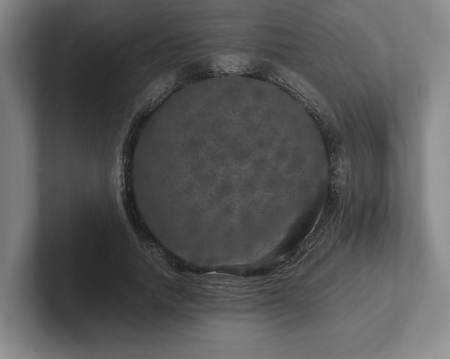 X0000102520738200808151533