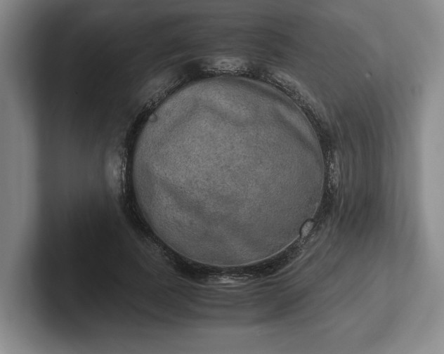 X0000102520739200808151533