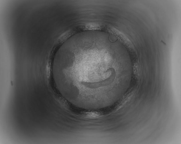 X0000102520741200808151533