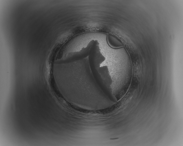 X0000102520742200808151533