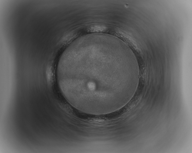 X0000102520743200808151533