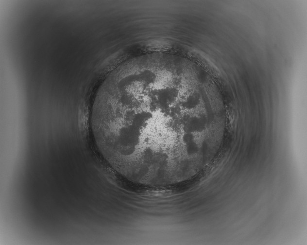 X0000102520745200808151533