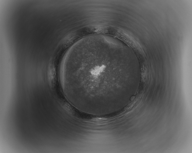 X0000102520748200808151533