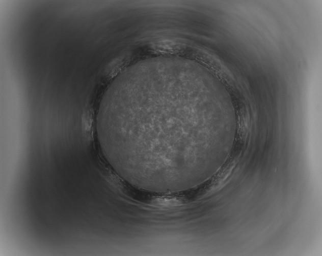 X0000102520749200808151533