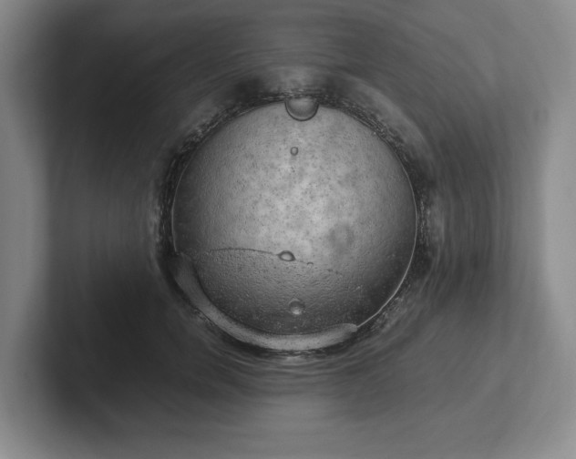 X0000102520750200808151533