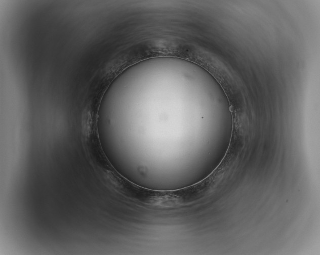 X0000102520752200808151533