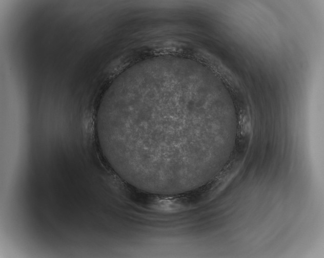 X0000102520753200808151533