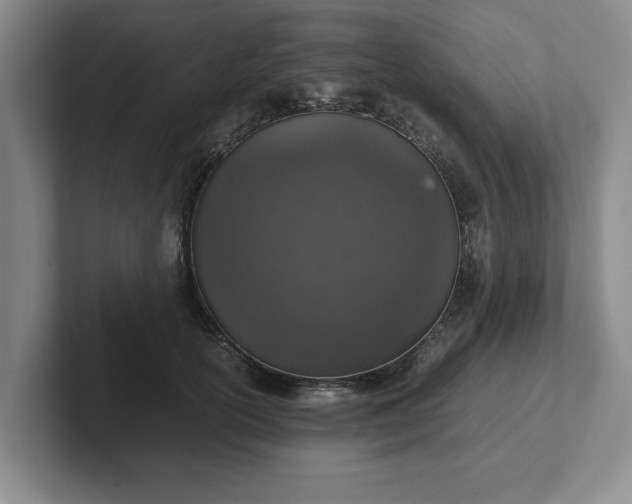 X0000102520754200808151533