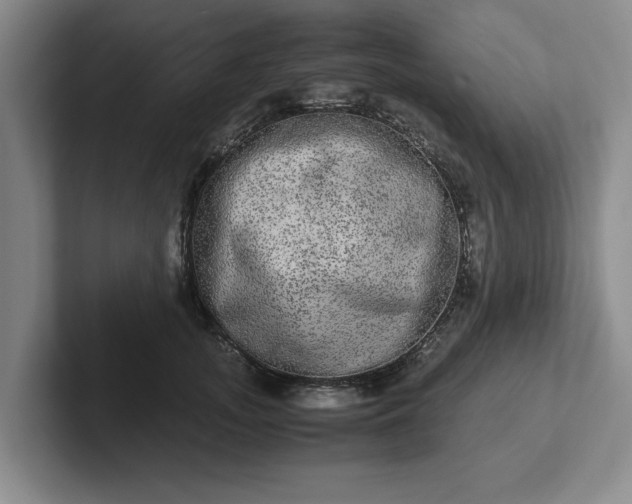 X0000102520755200808151533