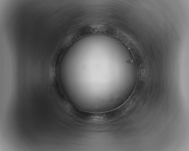 X0000102520756200808151533