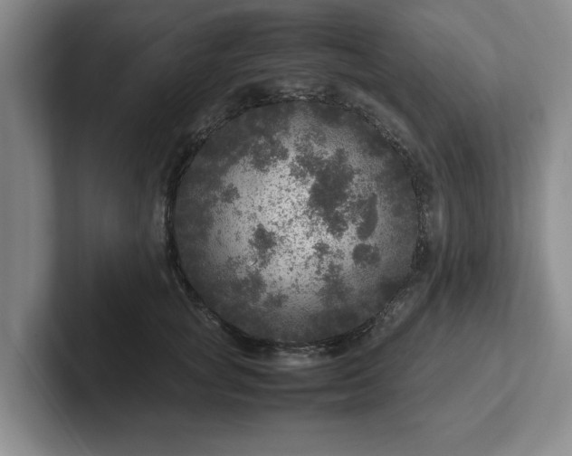 X0000102520757200808151533