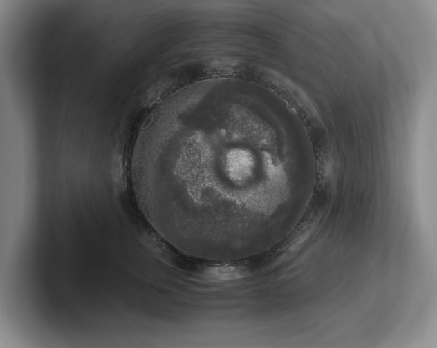 X0000102520759200808151533