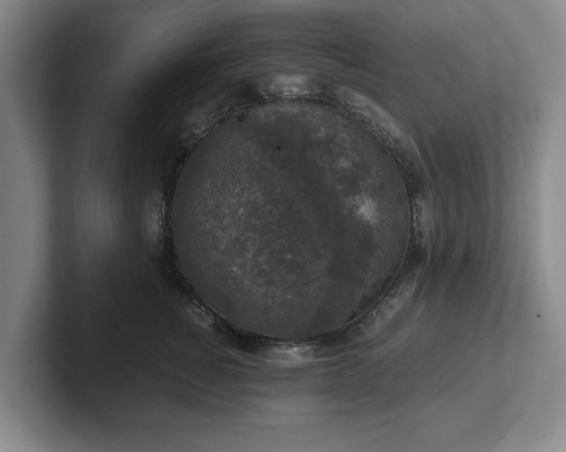 X0000102520760200808151533