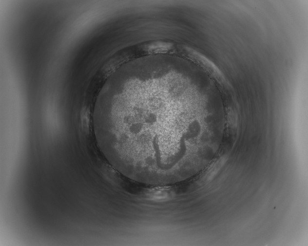 X0000102520761200808151533