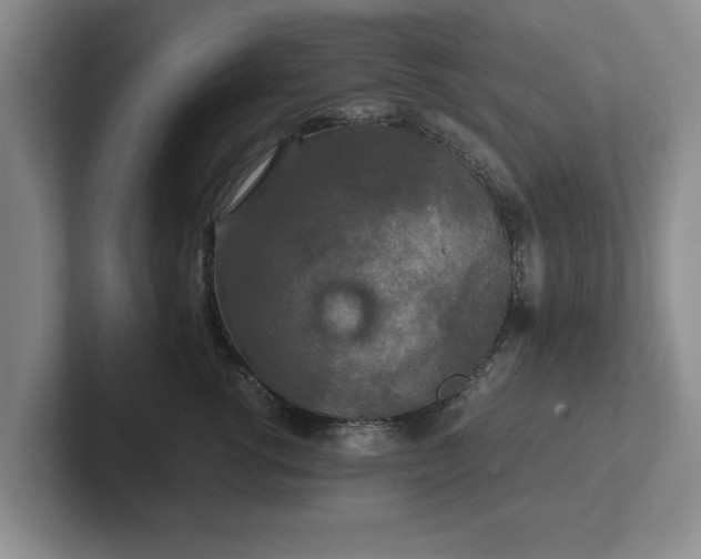 X0000102520762200808151533