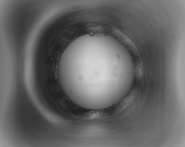 X0000102520764200808151533