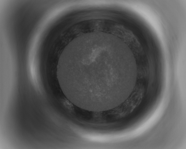 X0000102520766200808151533