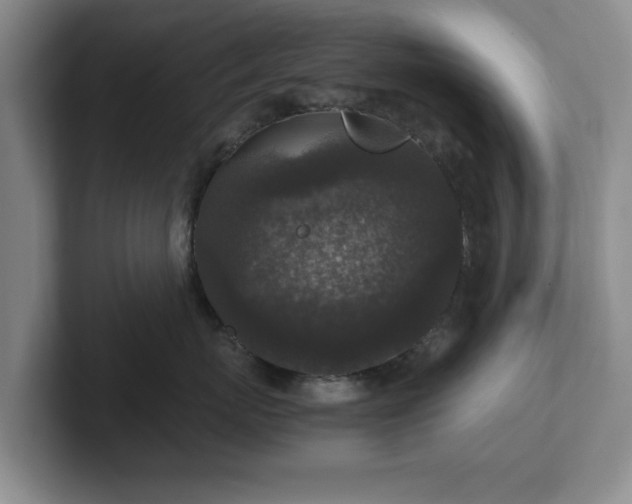 X0000102520767200808151533