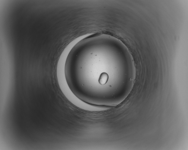 X0000102520768200808151533