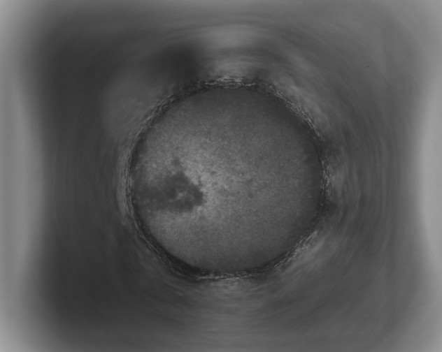 X0000102520769200808151532