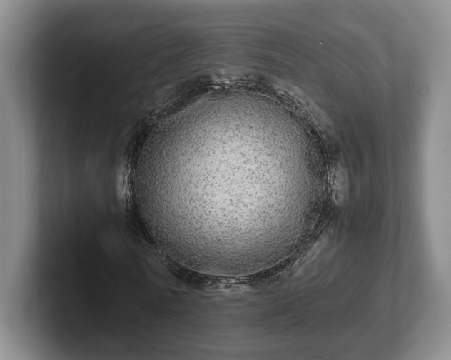 X0000102520770200808151532