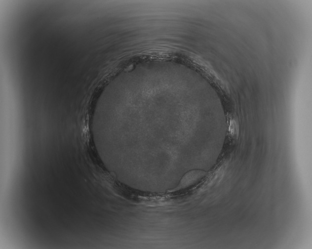 X0000102520771200808151532