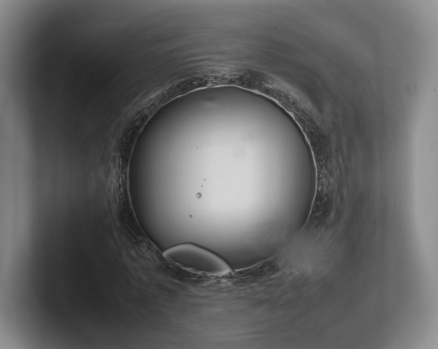 X0000102520773200808151532