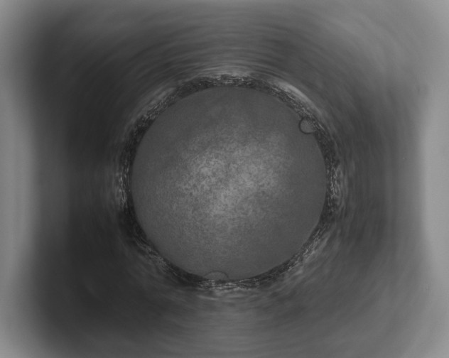 X0000102520774200808151532