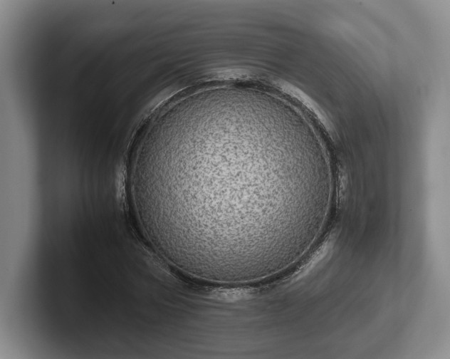 X0000102520778200808151532