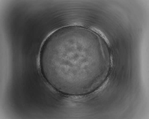 X0000102520780200808151532