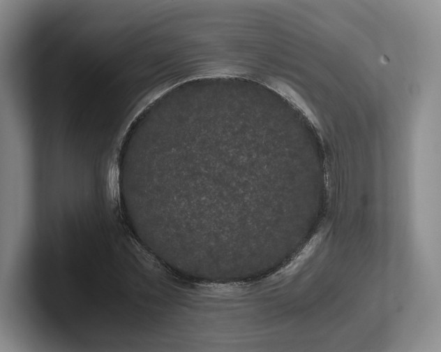 X0000102520781200808151532