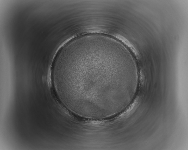 X0000102520782200808151532