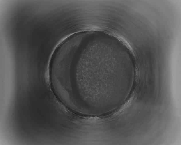 X0000102520784200808151532