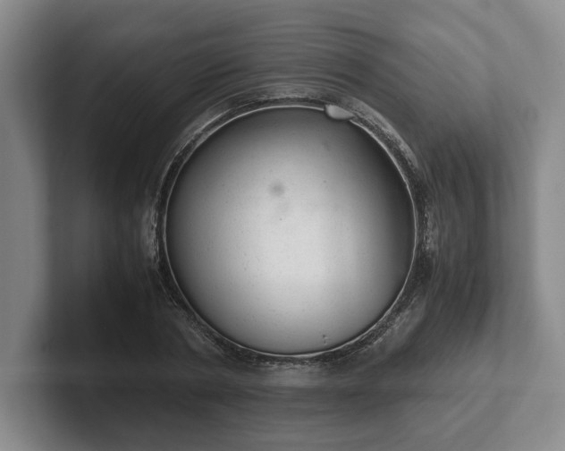 X0000102520786200808151532