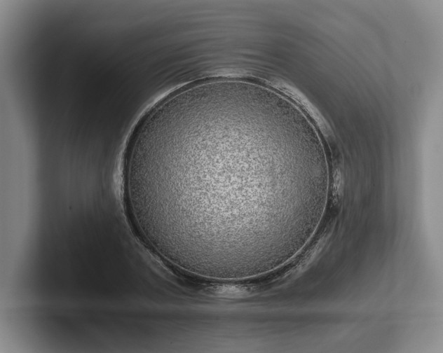 X0000102520787200808151532