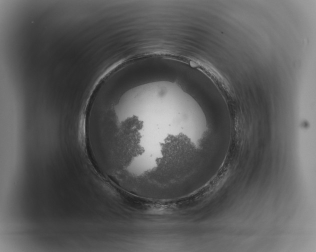 X0000102520790200808151532