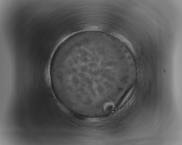 X0000102520792200808151532