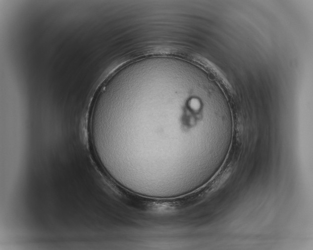 X0000102520794200808151532