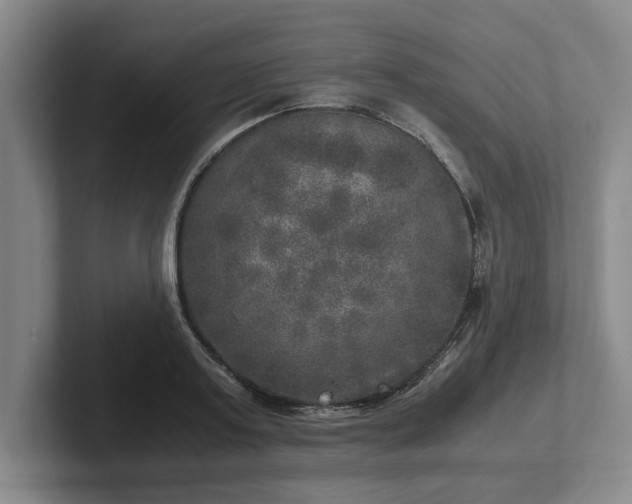 X0000102520795200808151532