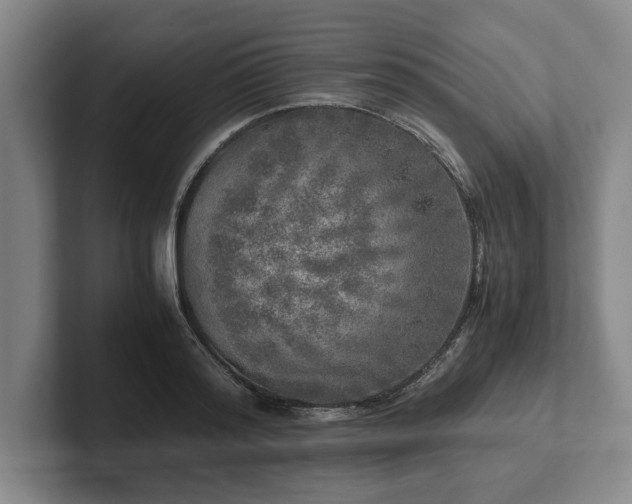 X0000102520796200808151532