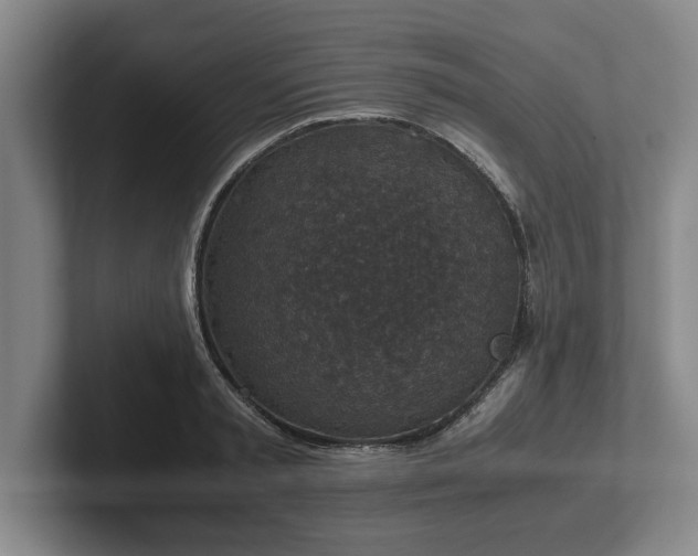 X0000102520797200808151532