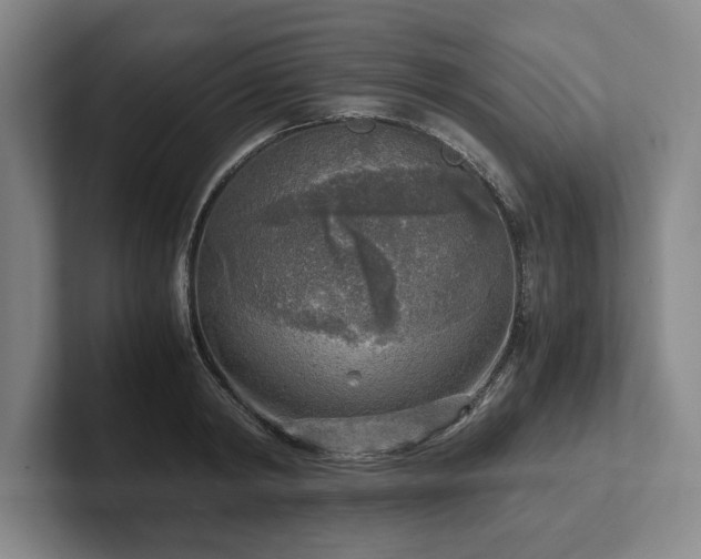 X0000102520798200808151532