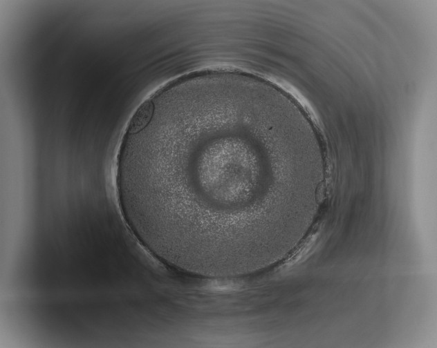 X0000102520799200808151532