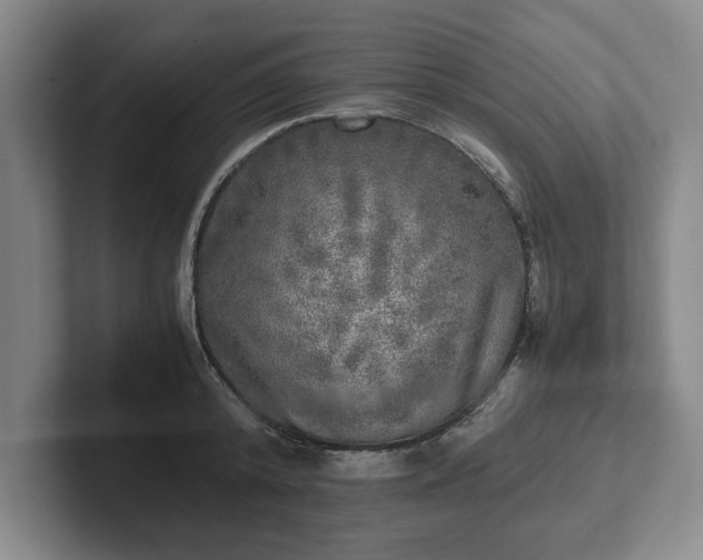 X0000102520800200808151532