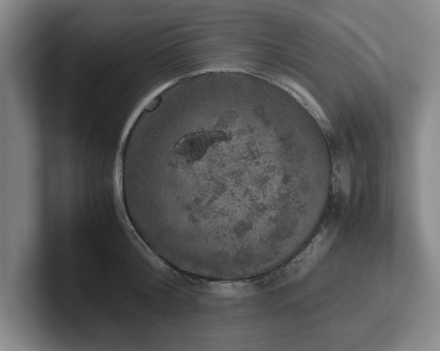 X0000102520804200808151532