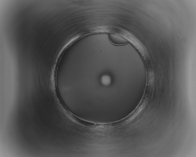 X0000102520806200808151532