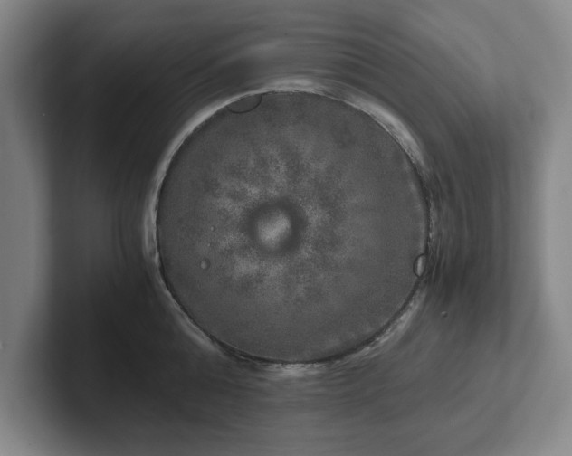 X0000102520808200808151532