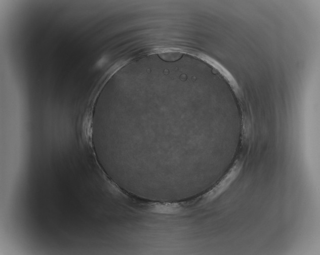 X0000102520809200808151532