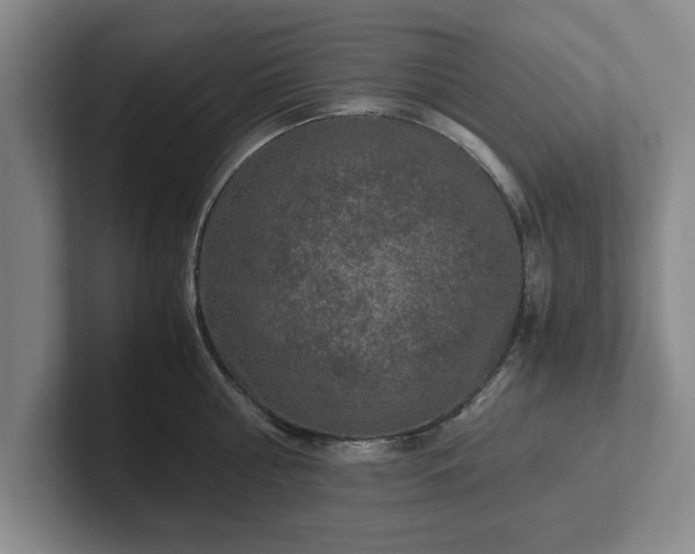 X0000102520810200808151532